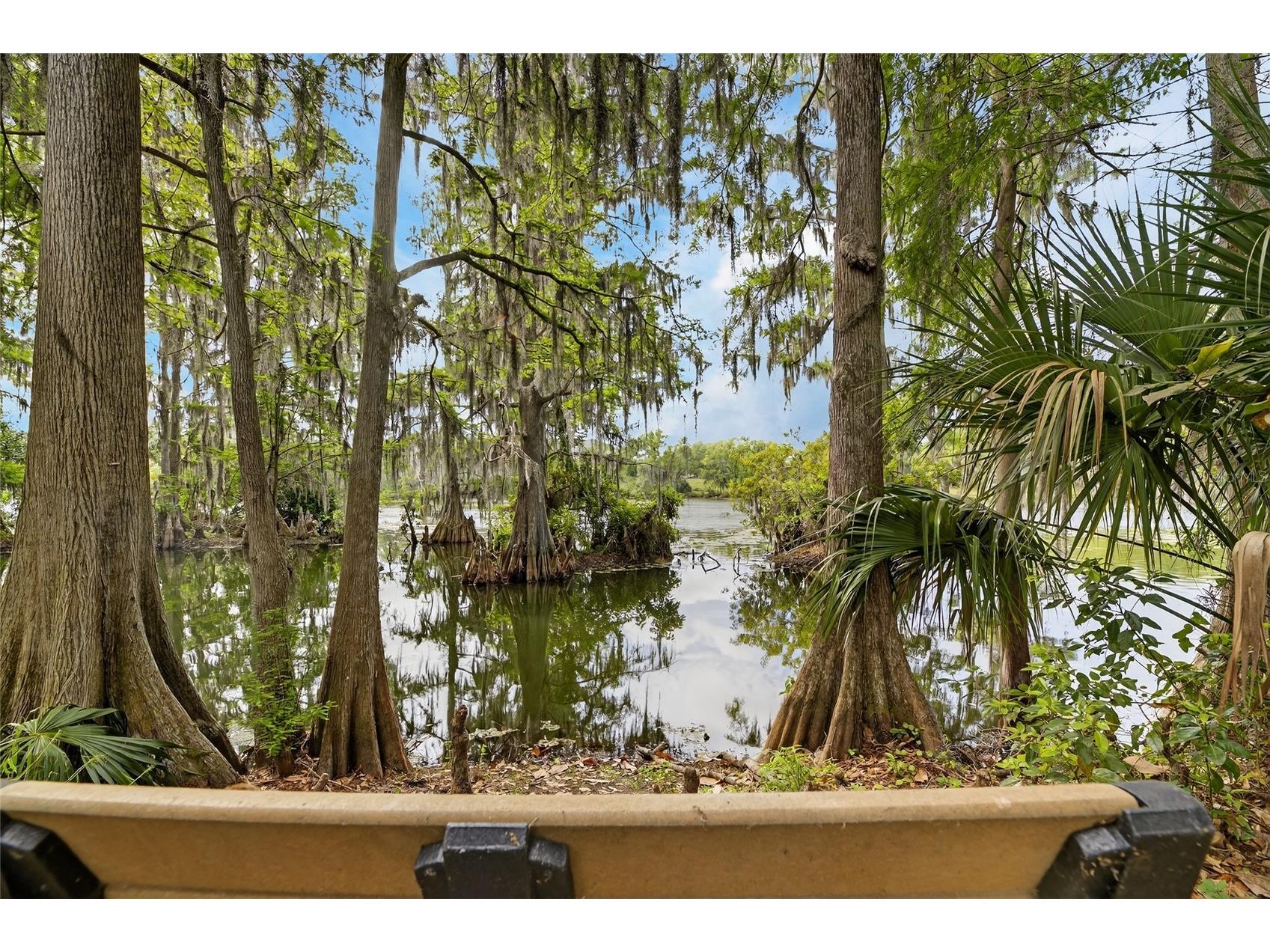 1008 W River Drive Temple Terrace FL 33617 TB8492760 image57