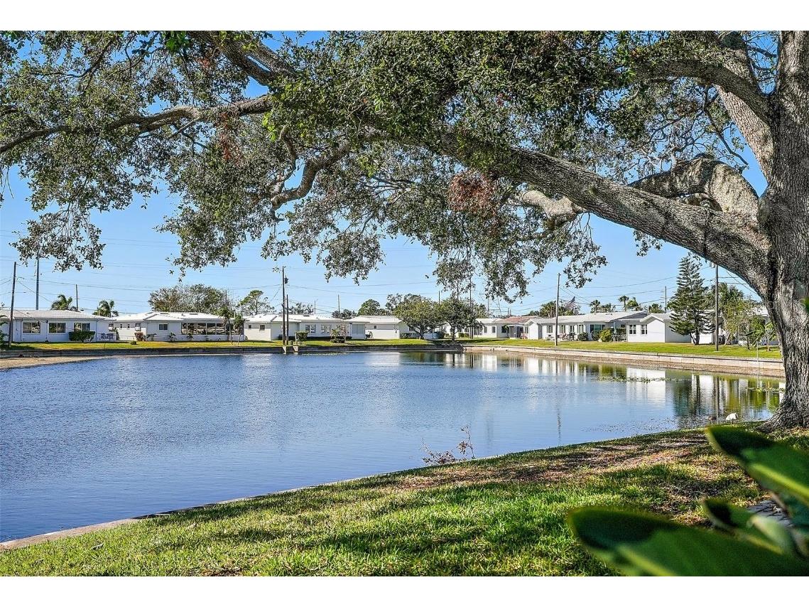 10080 38th Way N #3 Pinellas Park FL 33782 TB8327667 image1