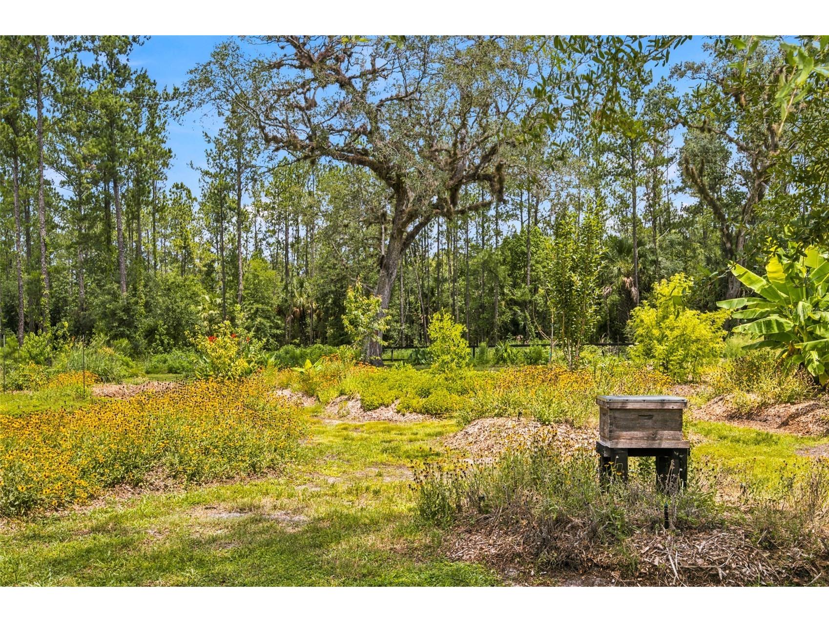 10080 SE 1st Street Road Silver Springs FL 34488 OM727438 image44
