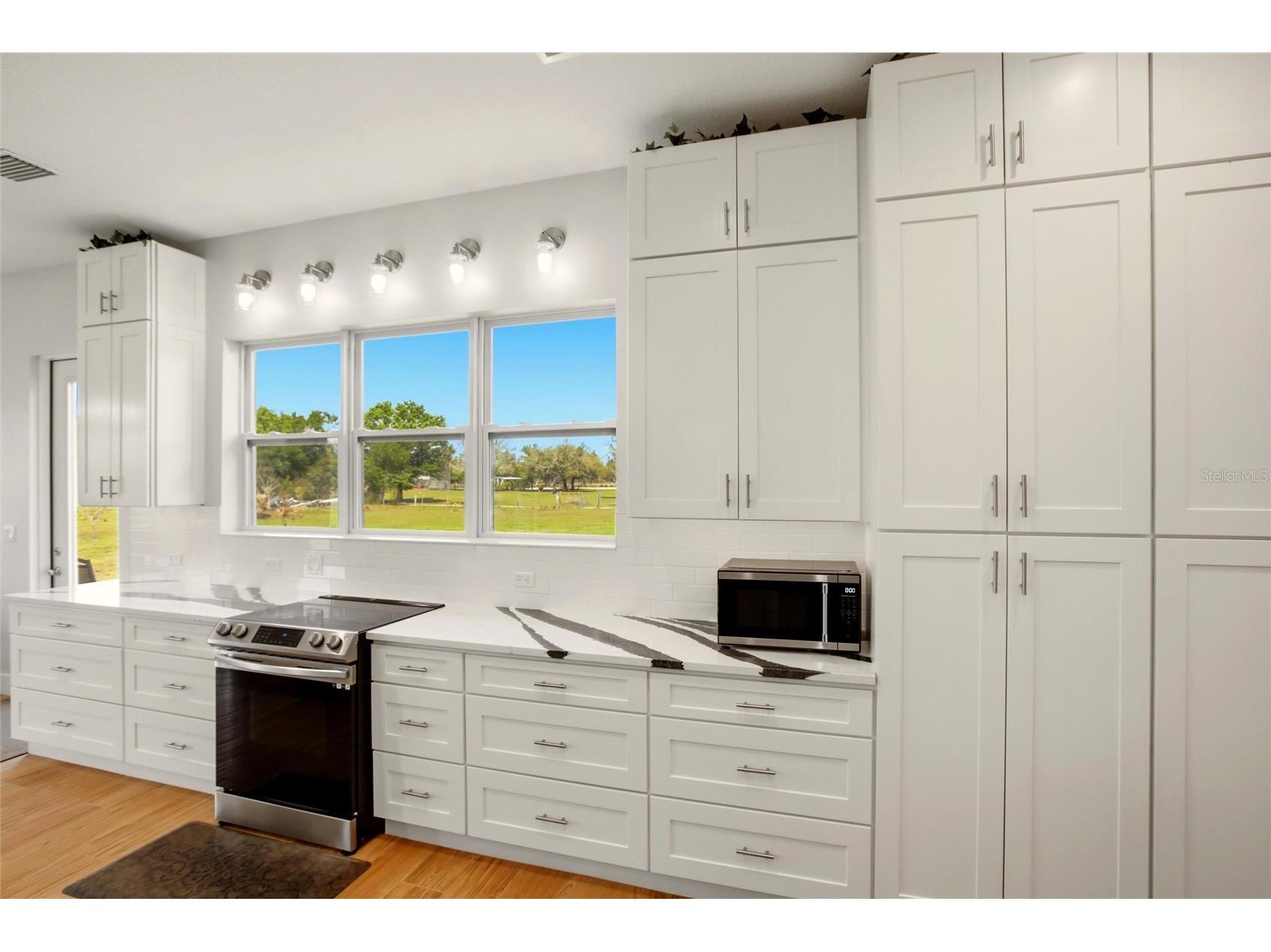10080 Wauchula Road Myakka City FL 34251 A4685991 image13