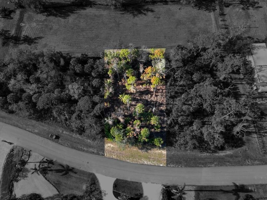 10081 Creekside Drive Placida FL 33946 D6140258 image4