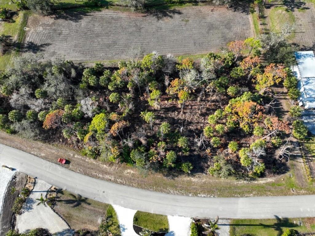 10081 Creekside Drive Placida FL 33946 D6140258 image6