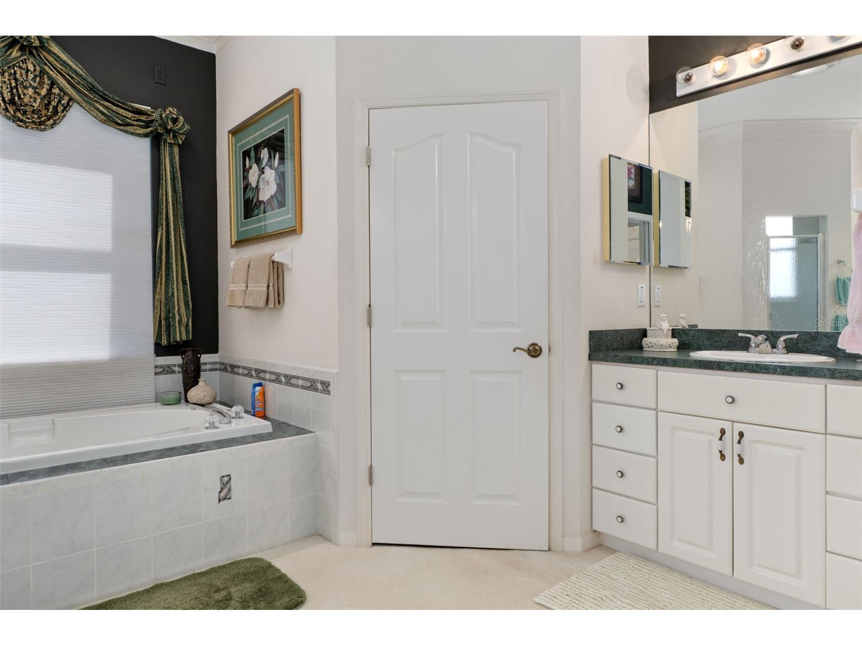 10081 Georgetown Court Weeki Wachee FL 34613 W7885790 image29