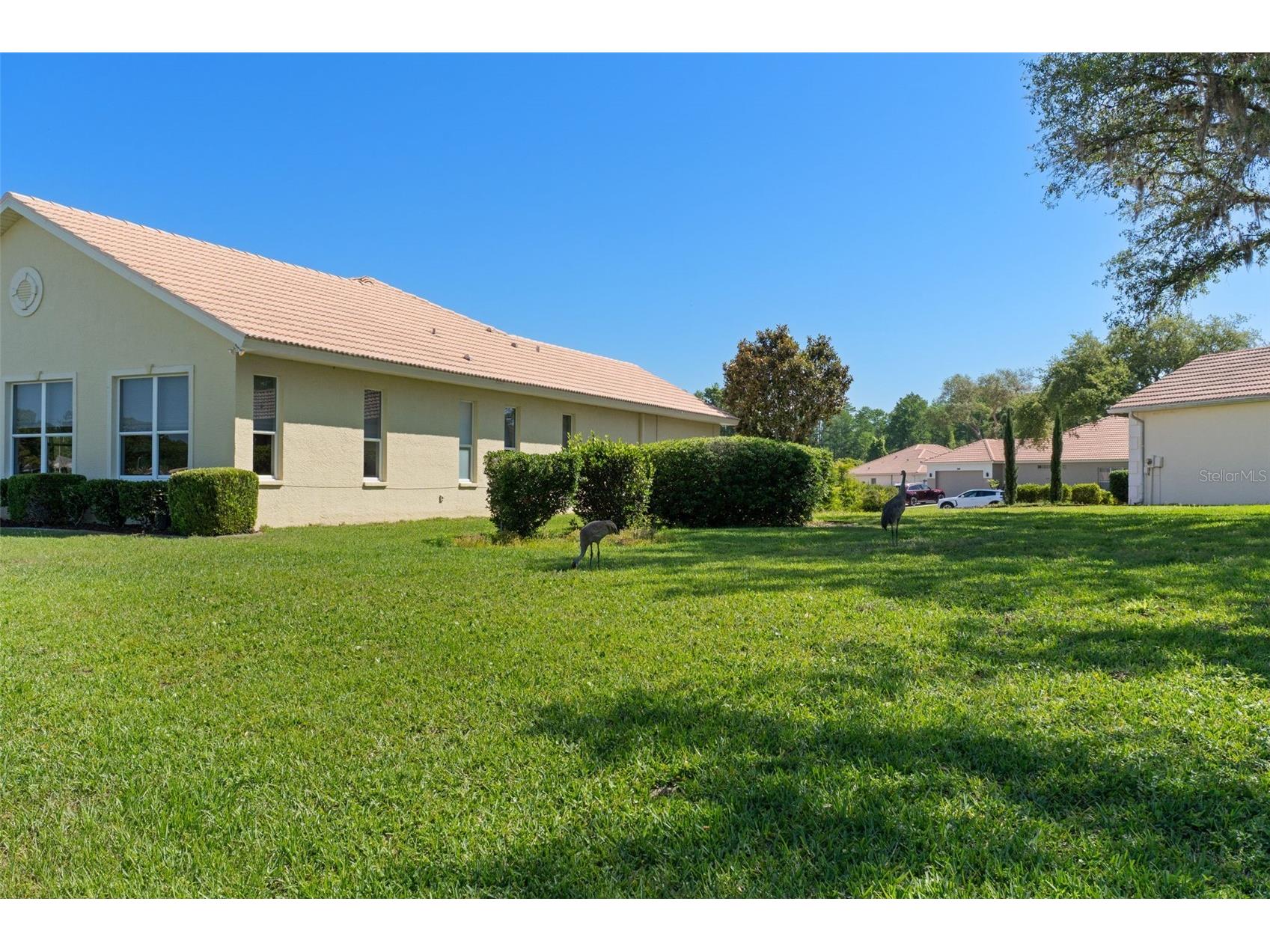 10081 Georgetown Court Weeki Wachee FL 34613 W7885790 image57