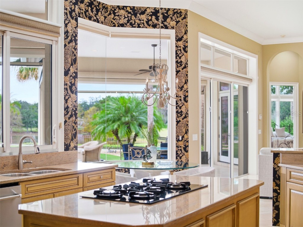 10084 Tavistock Road Orlando FL 32827 - LAKE NONA POND O6367350 image33