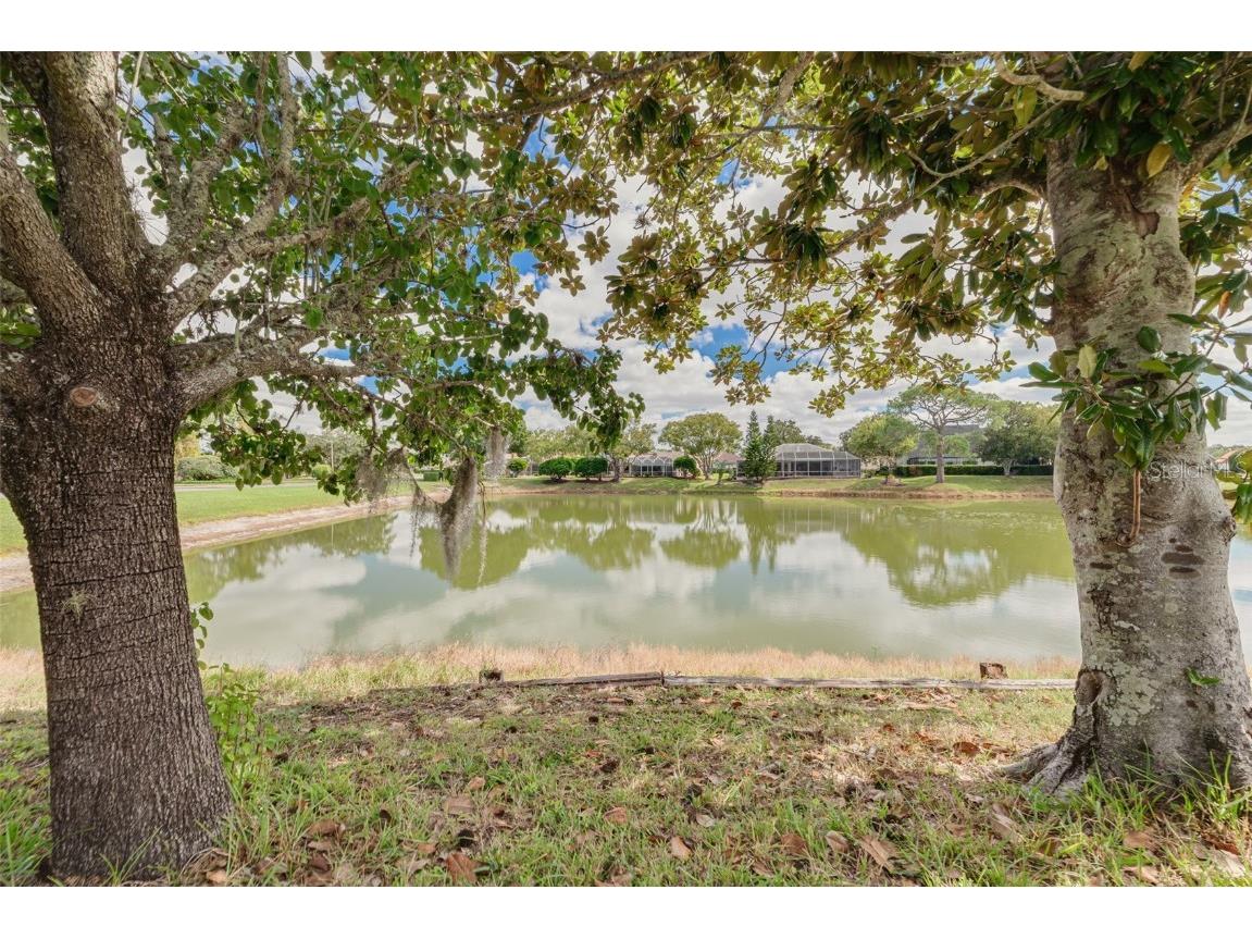 10084 Twelve Oaks Court Weeki Wachee FL 34613 TB8443025 image38