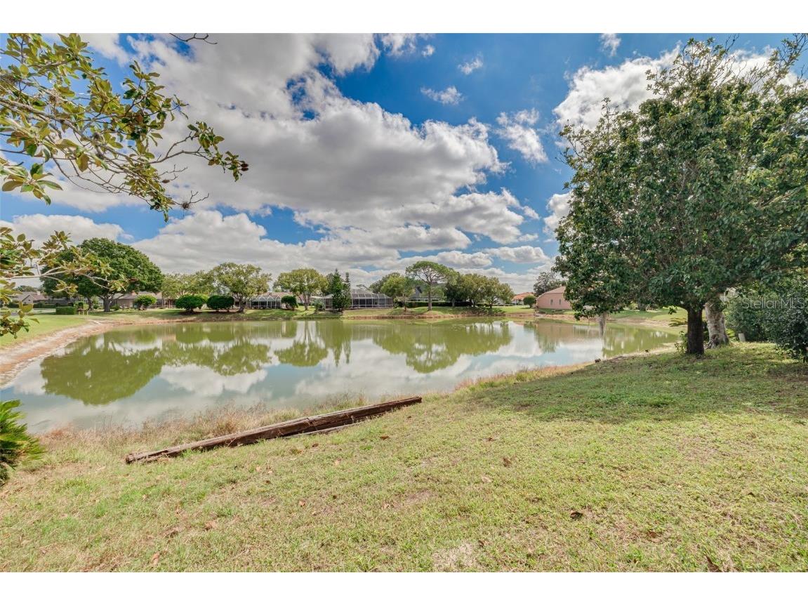 10084 Twelve Oaks Court Weeki Wachee FL 34613 TB8443025 image39