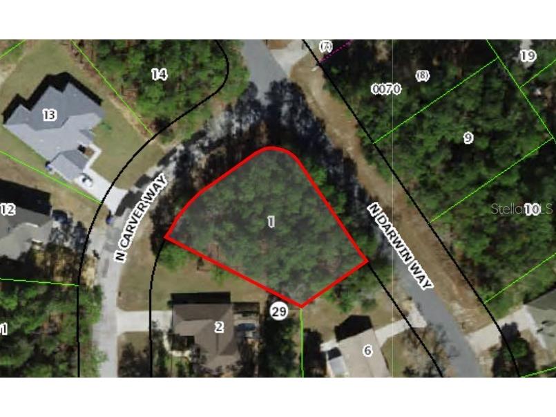 10085 N Carver Drive Citrus Springs FL 34434 OM726587 image1