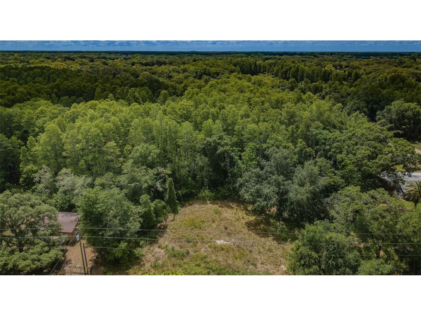 10086 Hilltop Drive New Port Richey FL 34654 U8246228 image1