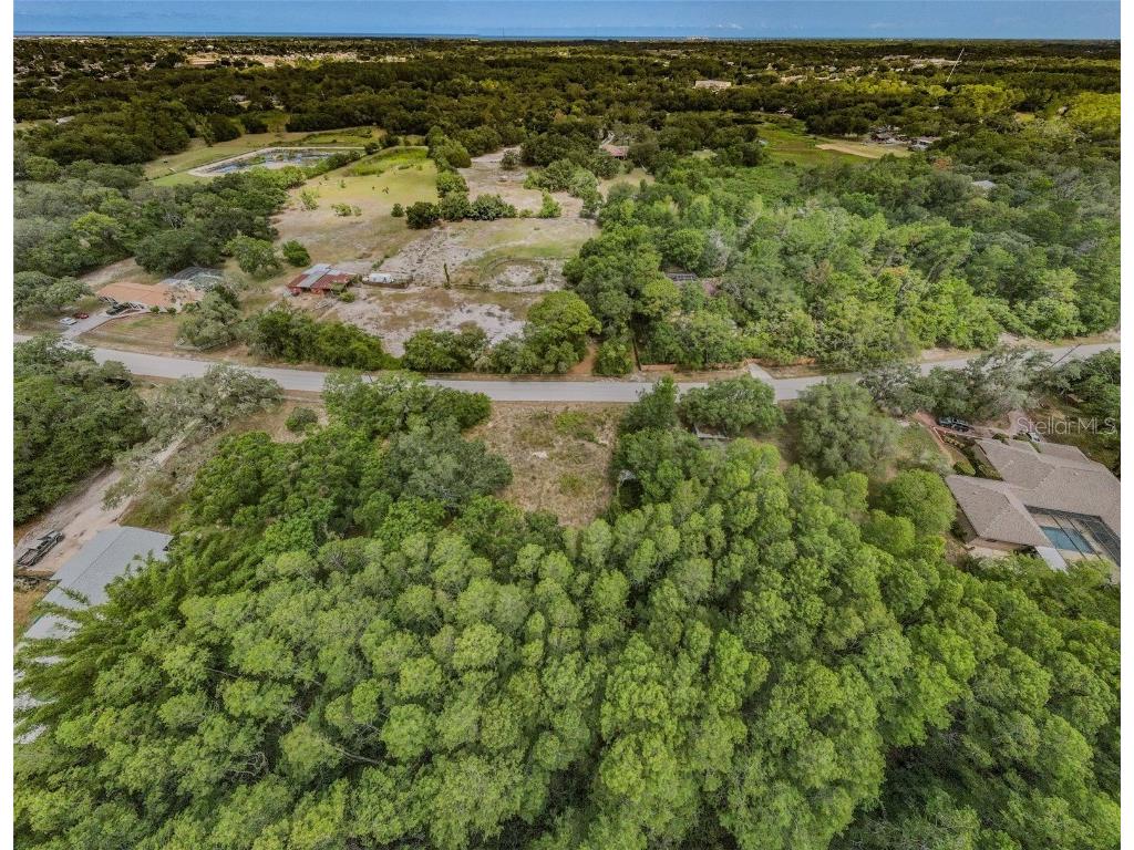 10086 Hilltop Drive New Port Richey FL 34654 U8246228 image10