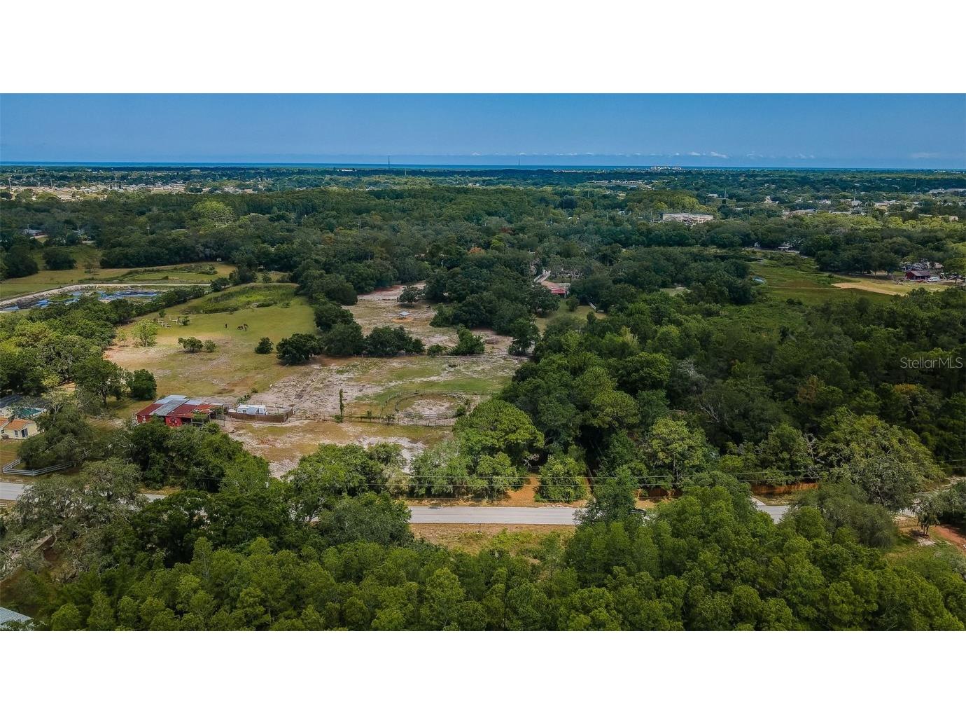 10086 Hilltop Drive New Port Richey FL 34654 U8246228 image11