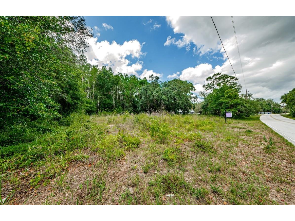 10086 Hilltop Drive New Port Richey FL 34654 U8246228 image13