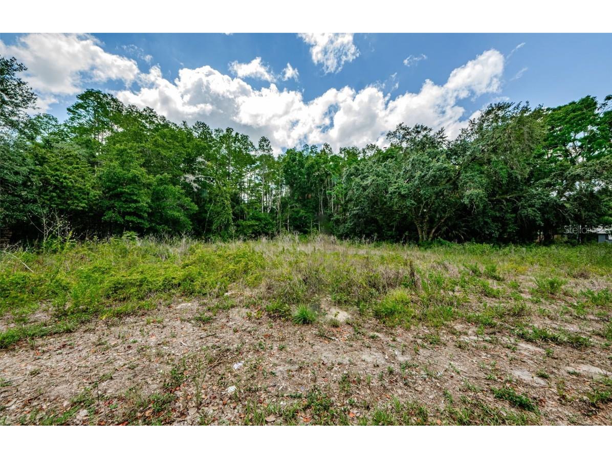 10086 Hilltop Drive New Port Richey FL 34654 U8246228 image14