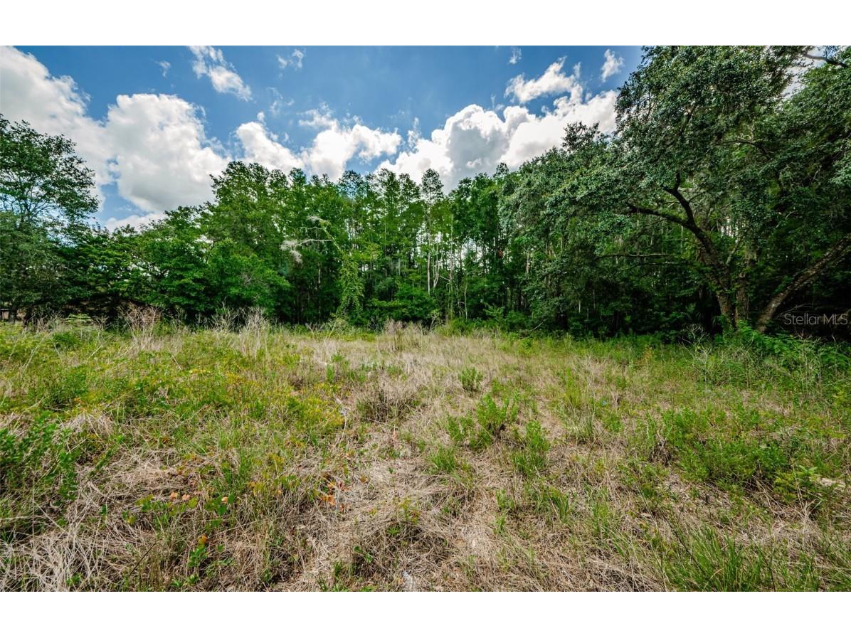 10086 Hilltop Drive New Port Richey FL 34654 U8246228 image15