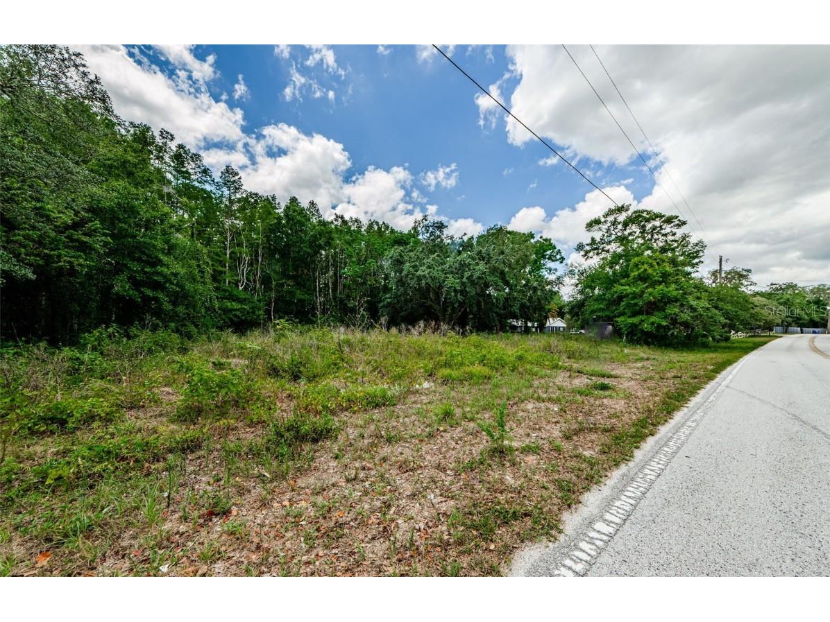 10086 Hilltop Drive New Port Richey FL 34654 U8246228 image16