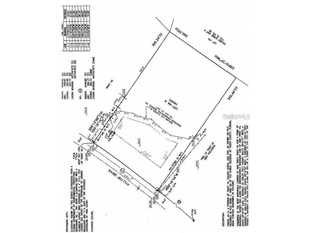 10086 Hilltop Drive New Port Richey FL 34654 U8246228 image2