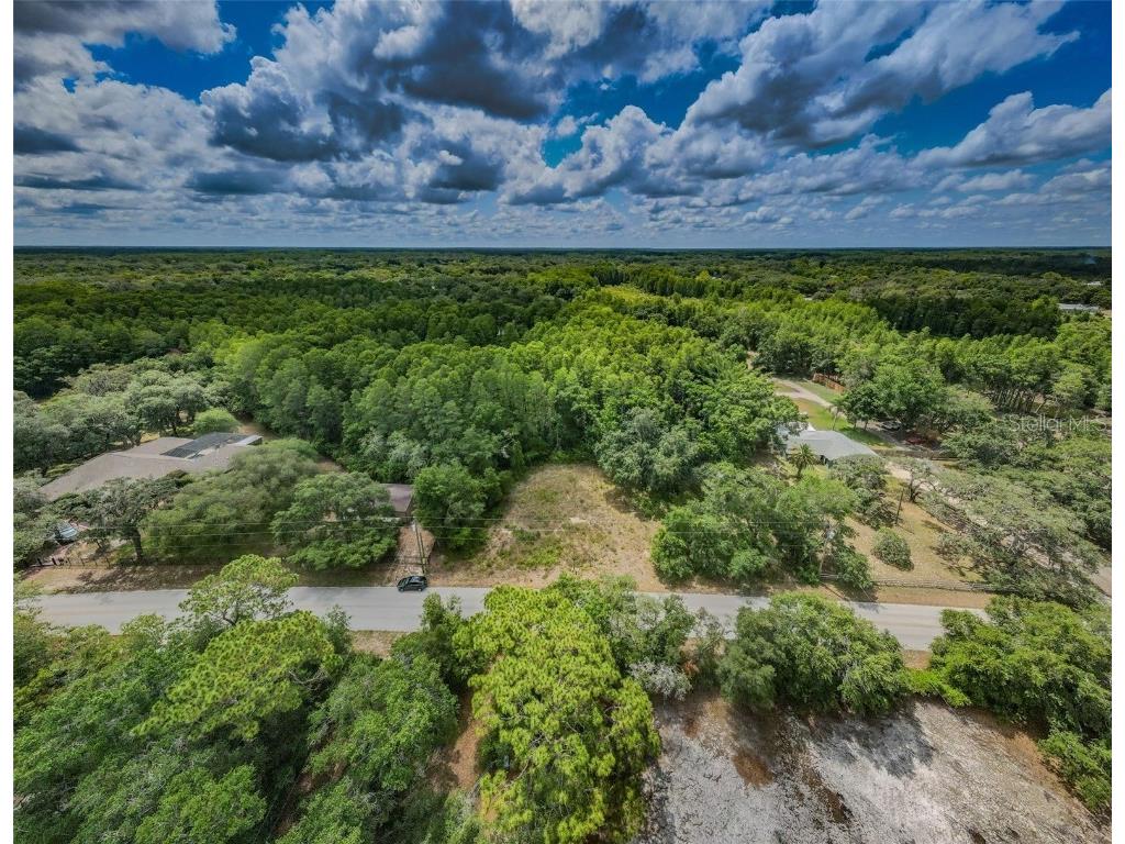 10086 Hilltop Drive New Port Richey FL 34654 U8246228 image3