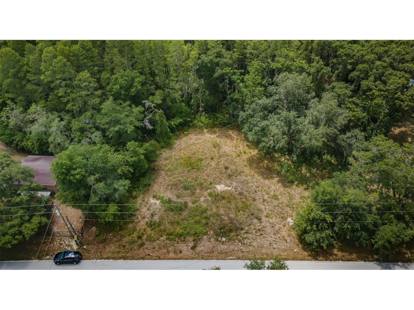 10086 Hilltop Drive New Port Richey FL 34654 U8246228 image4