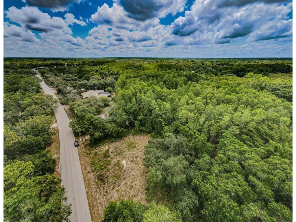 10086 Hilltop Drive New Port Richey FL 34654 U8246228 image6