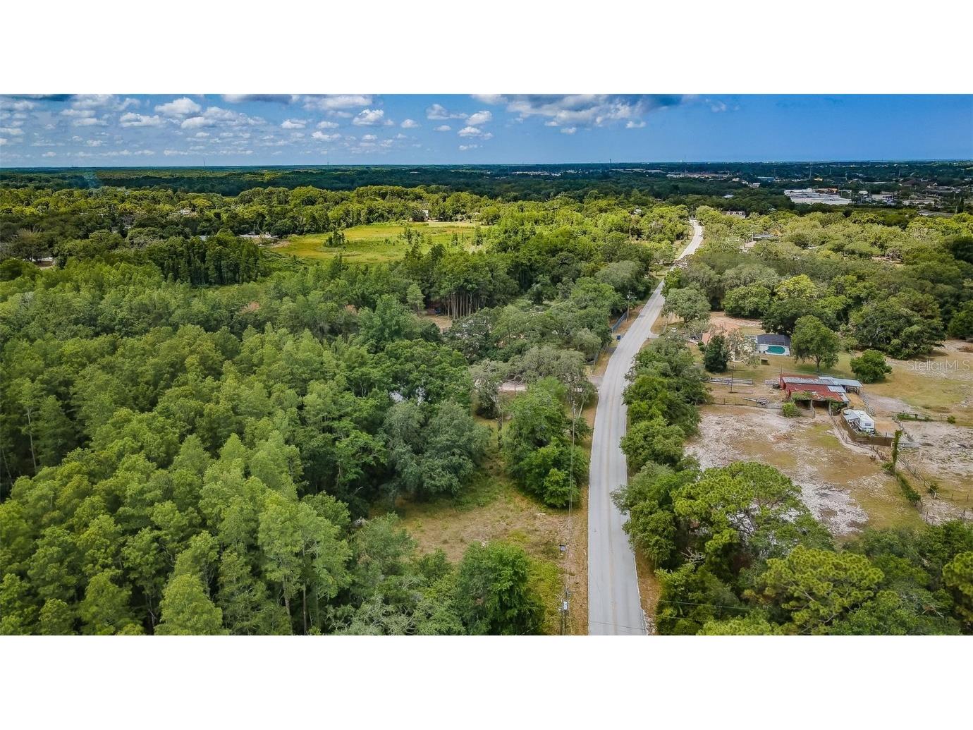 10086 Hilltop Drive New Port Richey FL 34654 U8246228 image7