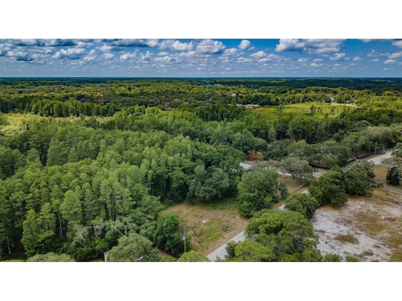 10086 Hilltop Drive New Port Richey FL 34654 U8246228 image8