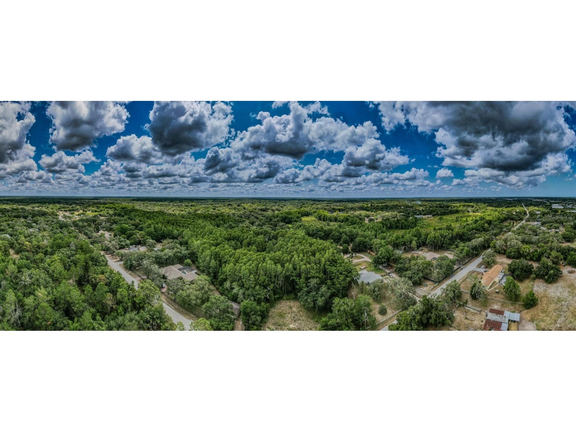 10086 Hilltop Drive New Port Richey FL 34654 U8246228 image9