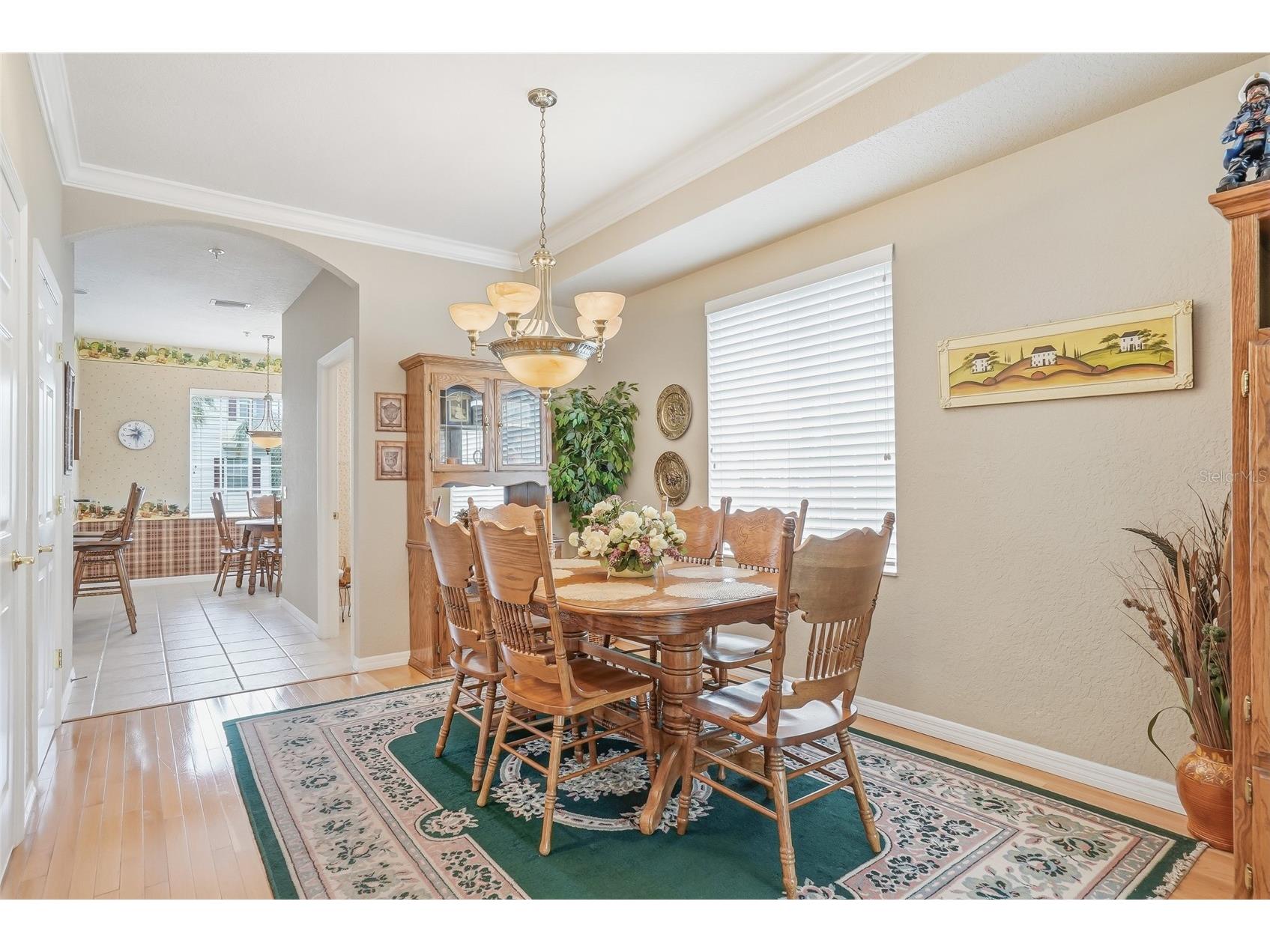 1009 34th Drive W Palmetto FL 34221 TB8492118 image13