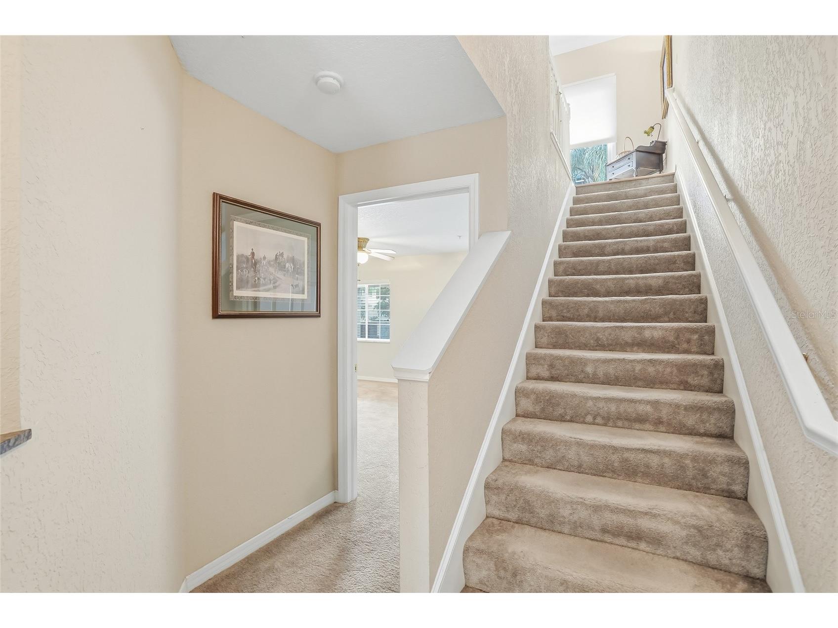 1009 34th Drive W Palmetto FL 34221 TB8492118 image3