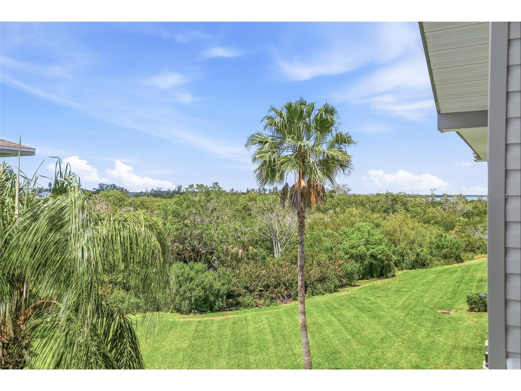 1009 34th Drive W Palmetto FL 34221 TB8492118 image33