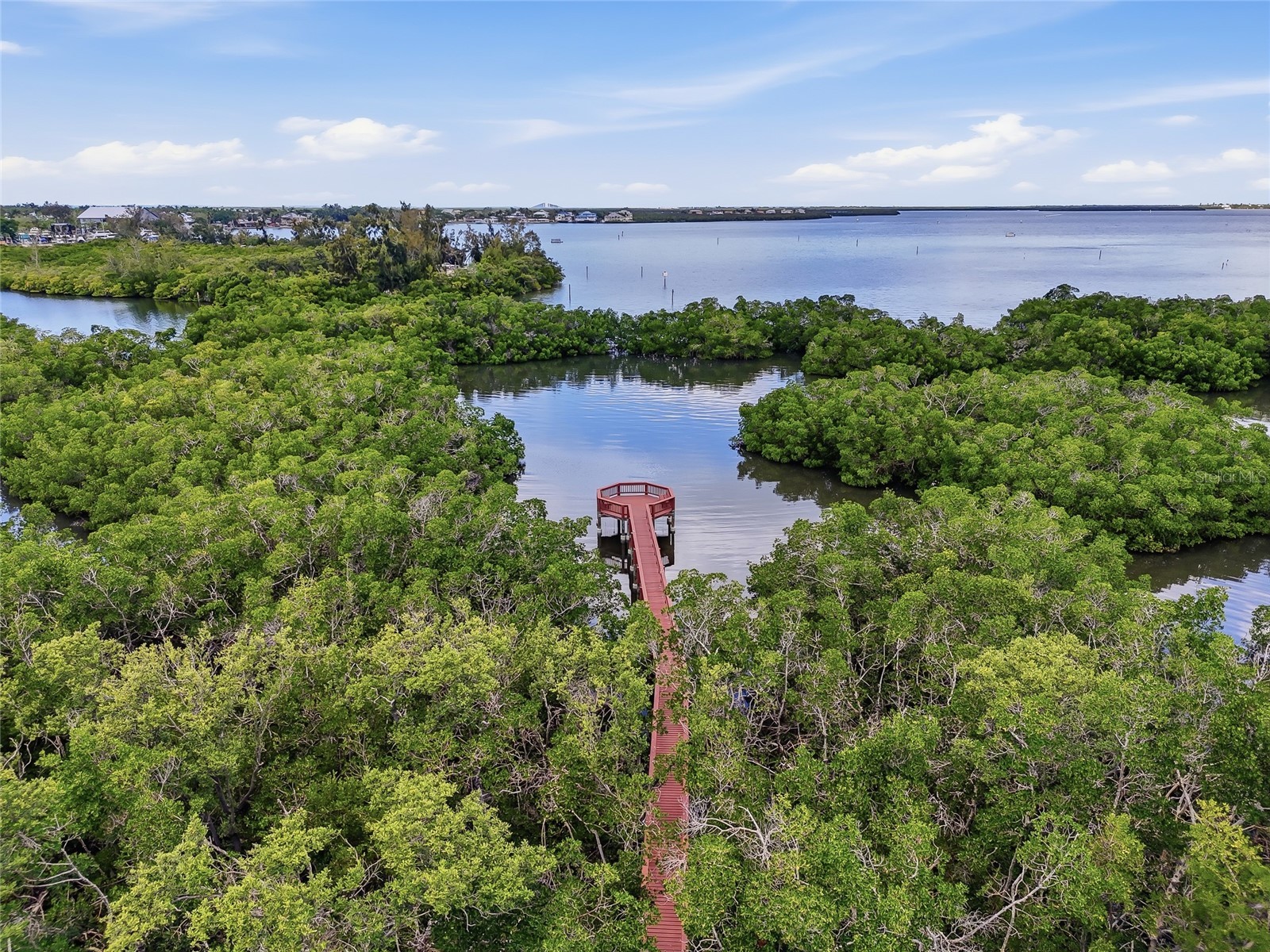 1009 34th Drive W Palmetto FL 34221 TB8492118 image53