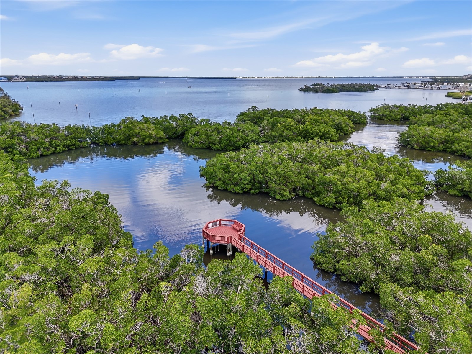 1009 34th Drive W Palmetto FL 34221 TB8492118 image54