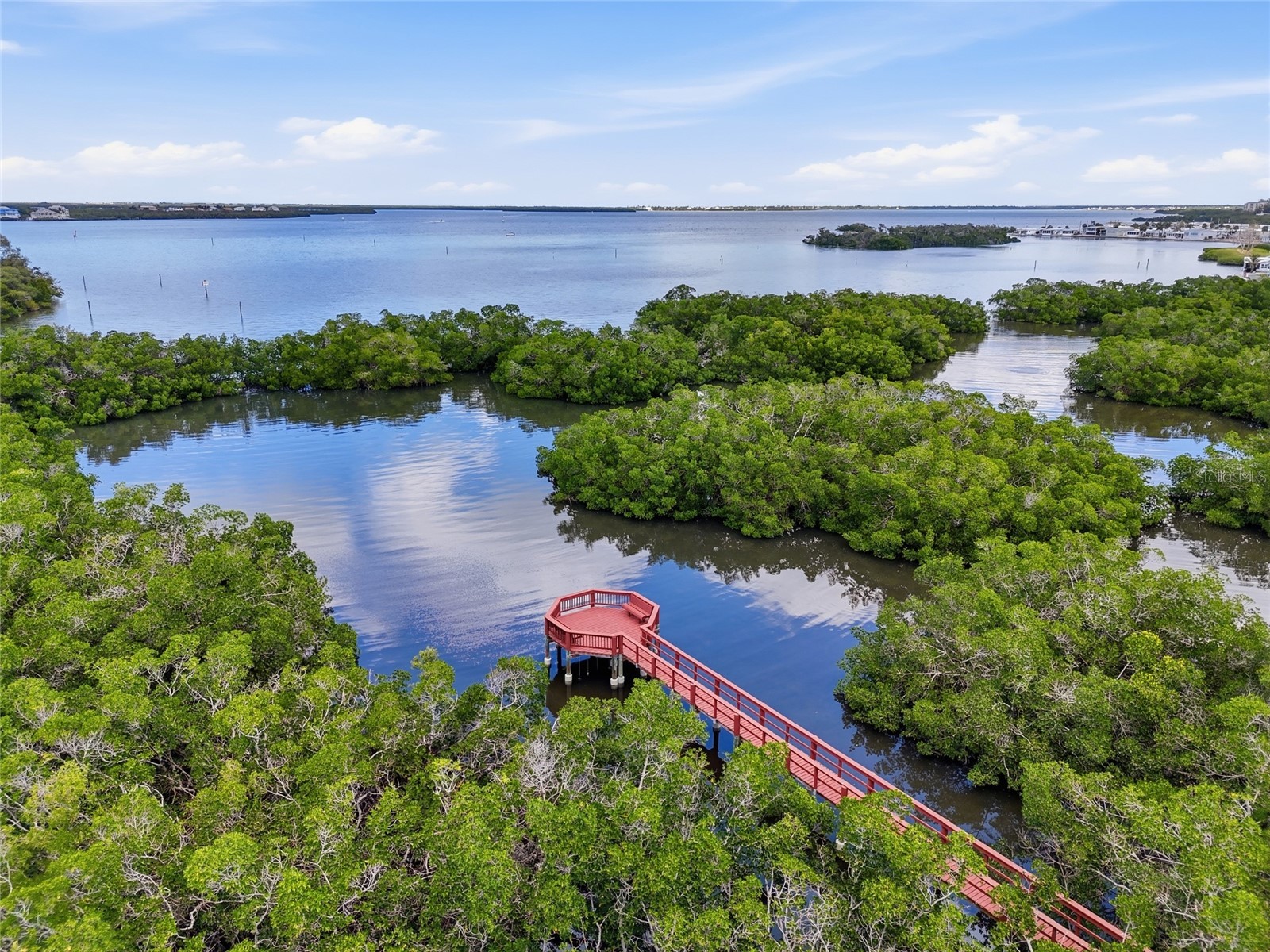 1009 34th Drive W Palmetto FL 34221 TB8492118 image56