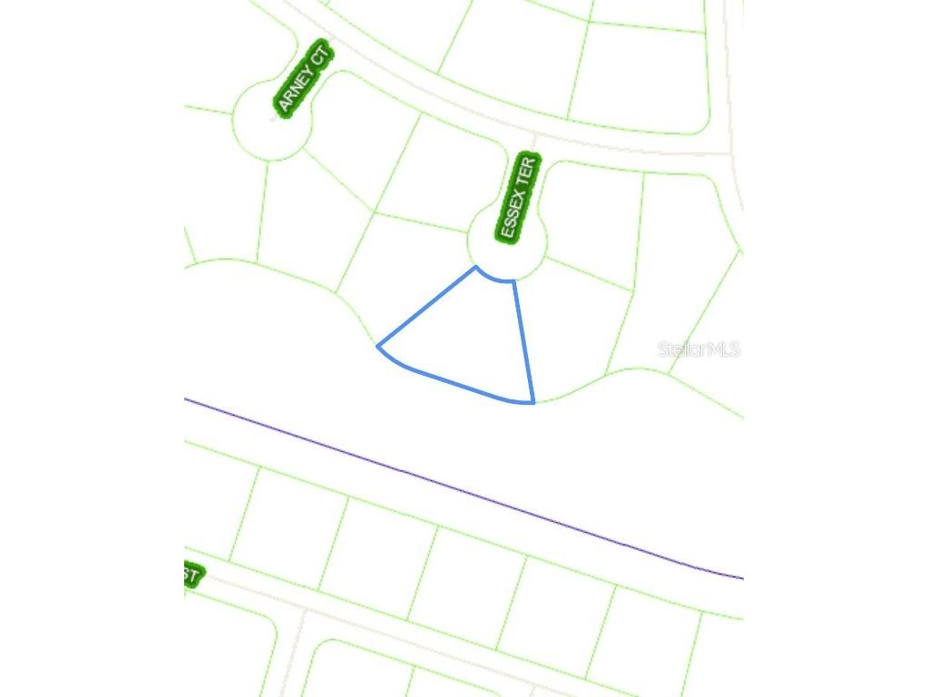 1009 Arney Court Sebring FL 33876 P4936822 image3