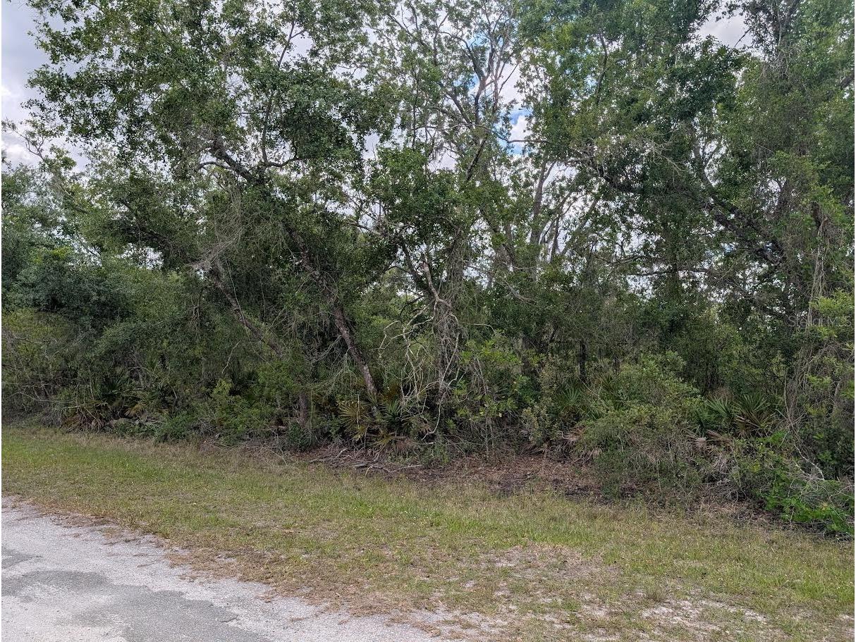1009 Azalea Drive Indian Lake Estates FL 33855 - LAKE WALK-IN-WATER P4938523 image4