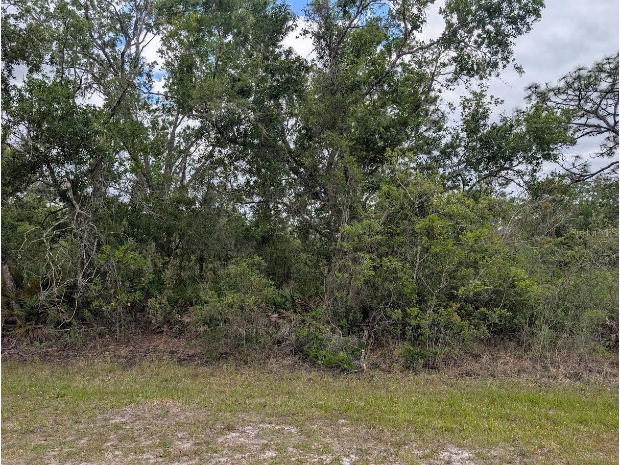 1009 Azalea Drive Indian Lake Estates FL 33855 - LAKE WALK-IN-WATER P4938523 image5