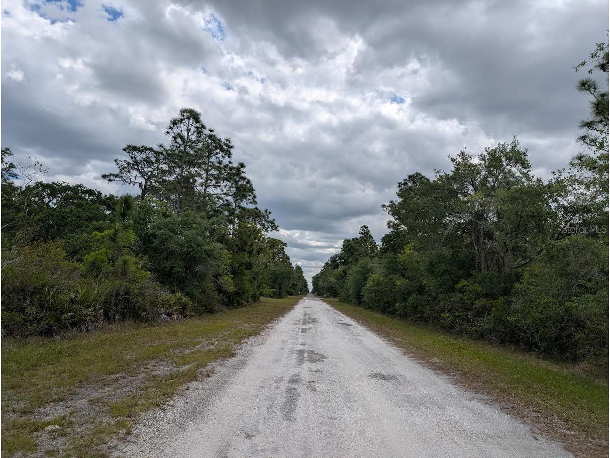 1009 Azalea Drive Indian Lake Estates FL 33855 - LAKE WALK-IN-WATER P4938523 image6