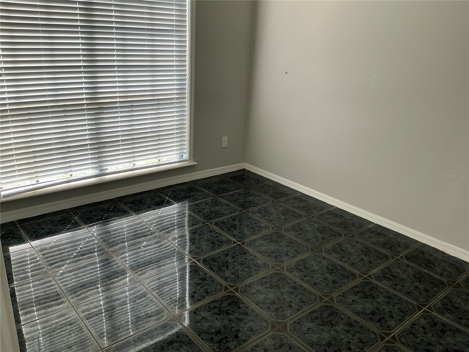 1009 Corkwood Drive Oviedo FL 32765 V4947313 image17