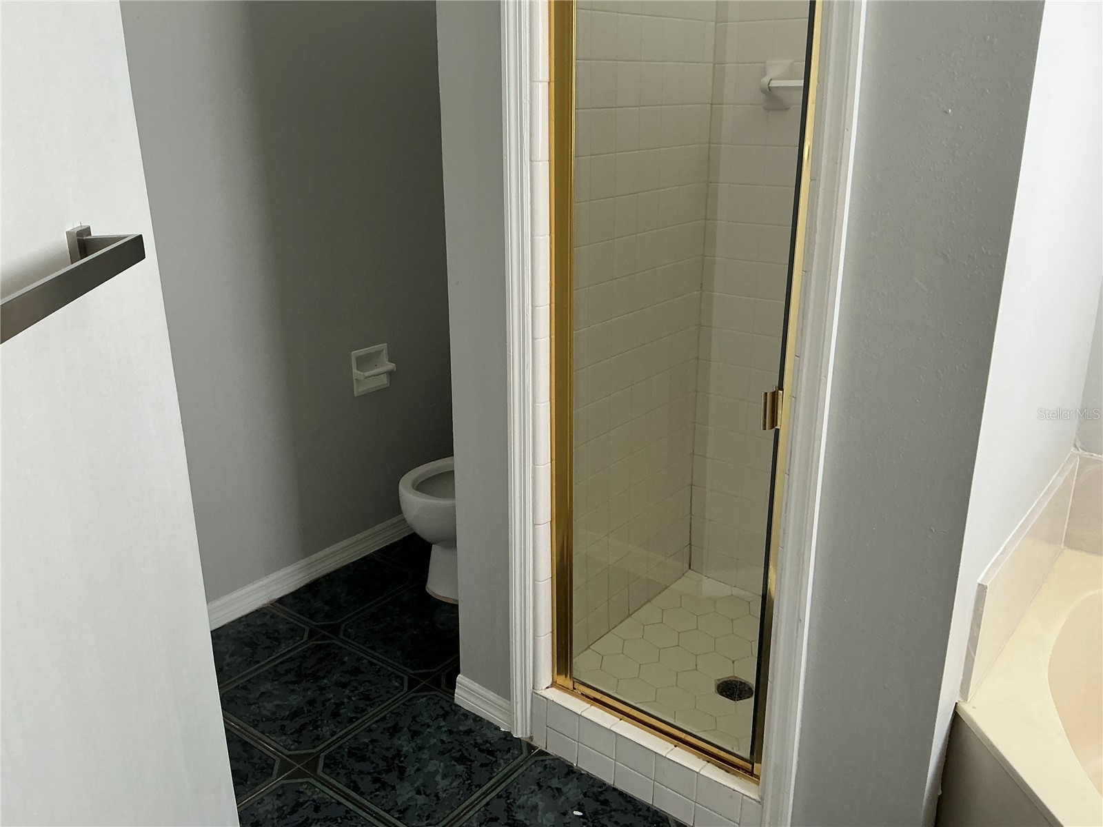 1009 Corkwood Drive Oviedo FL 32765 V4947313 image22