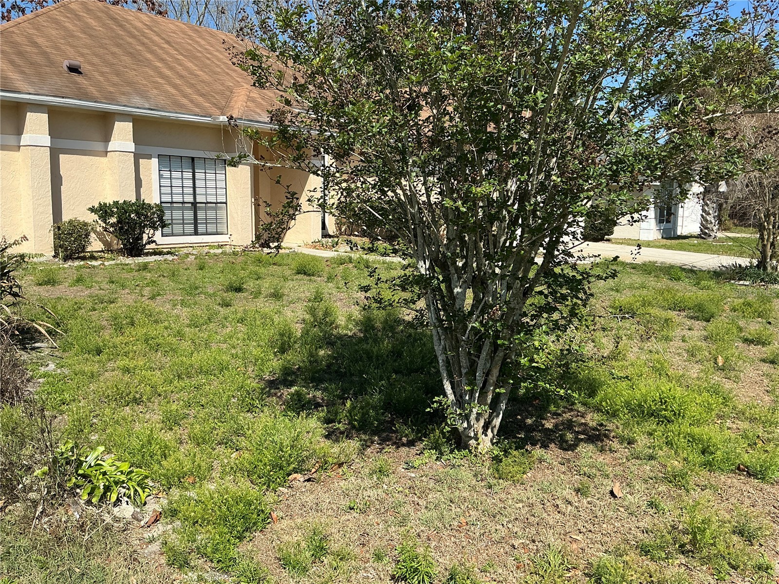 1009 Corkwood Drive Oviedo FL 32765 V4947313 image24