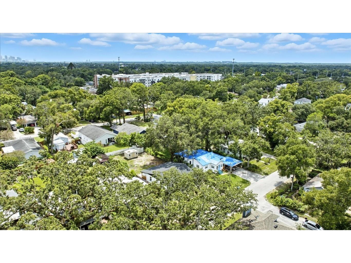 1009 E Crawford Street Tampa FL 33604 TB8418528 image37