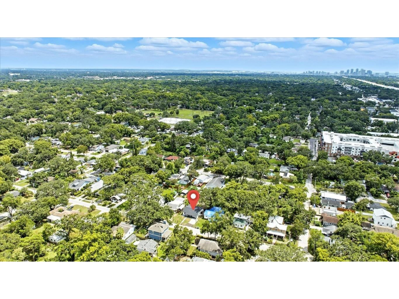 1009 E Crawford Street Tampa FL 33604 TB8418528 image42