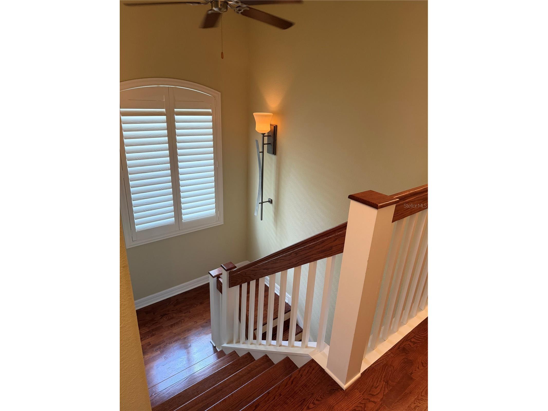 1009 Elmwood Street #1009 Orlando FL 32801 O6419801 image14