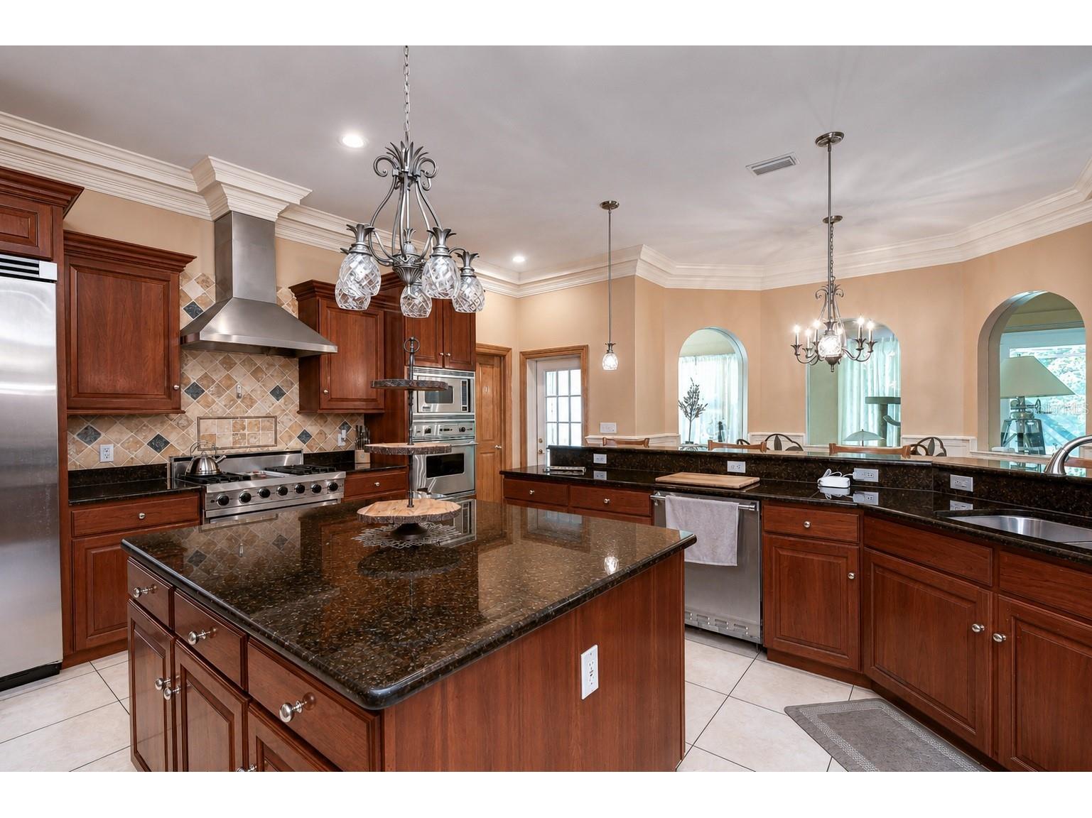1009 Emerald Creek Drive Valrico FL 33596 TB8521781 image11
