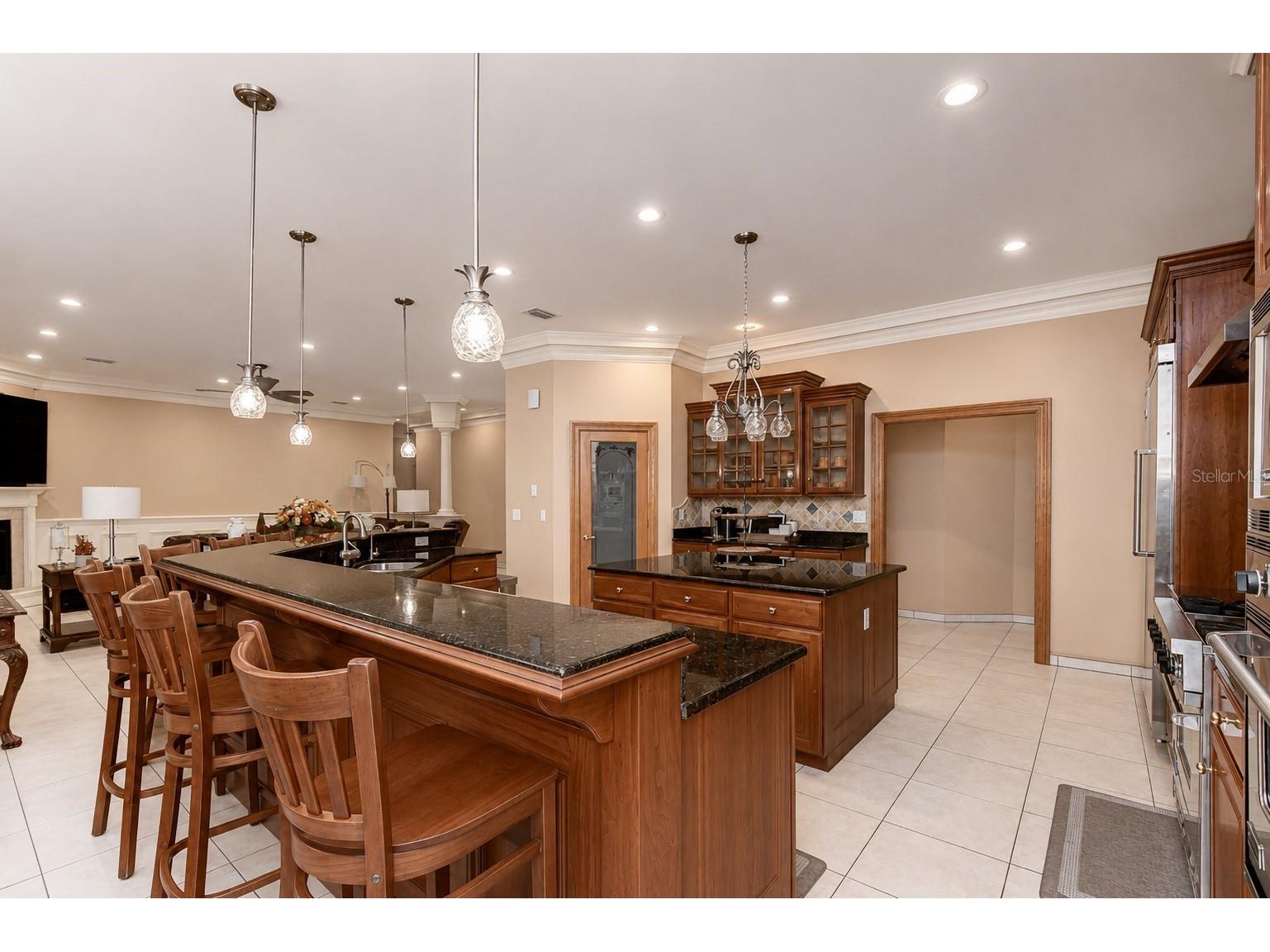 1009 Emerald Creek Drive Valrico FL 33596 TB8521781 image12