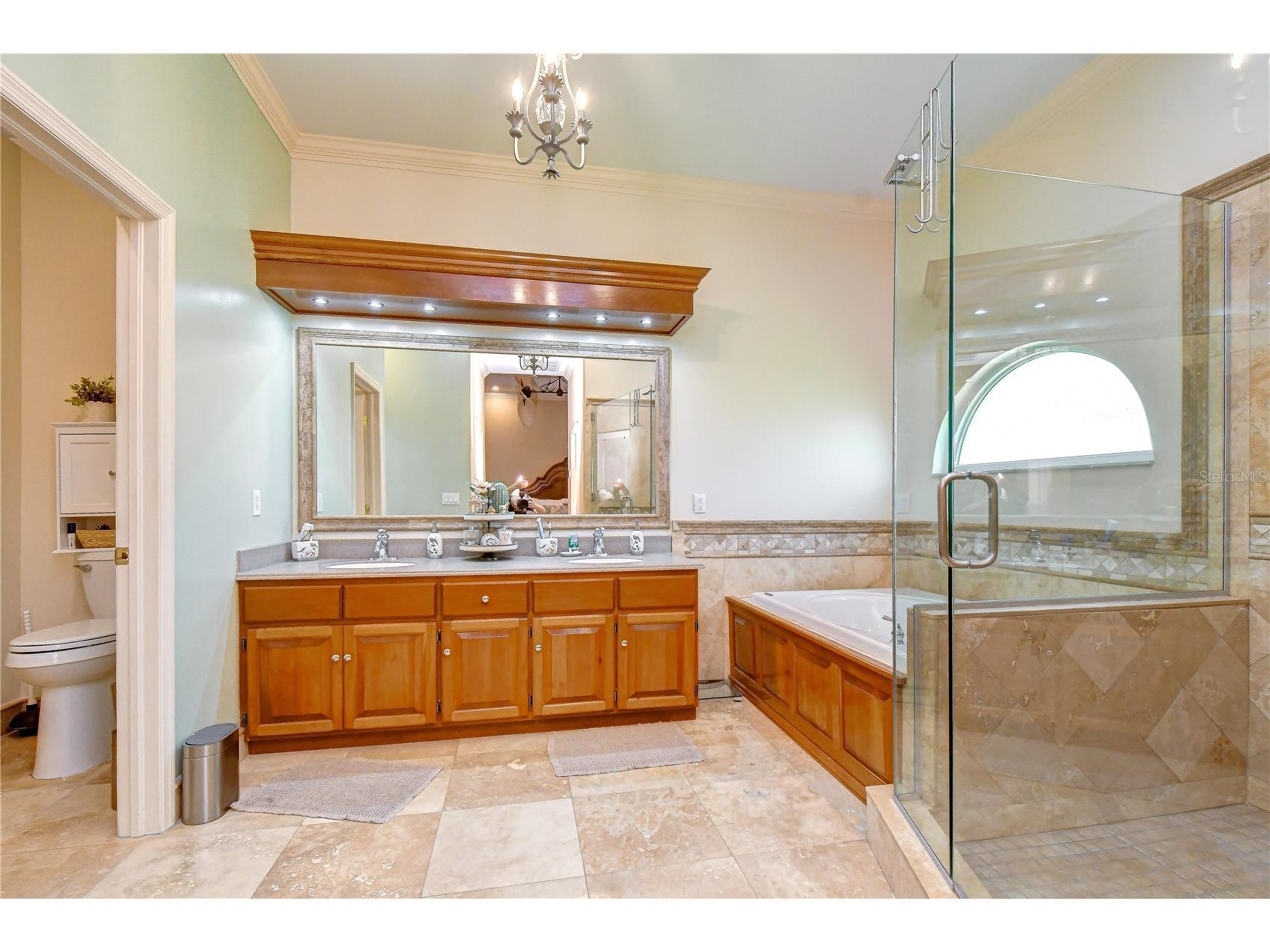 1009 Emerald Creek Drive Valrico FL 33596 TB8521781 image24