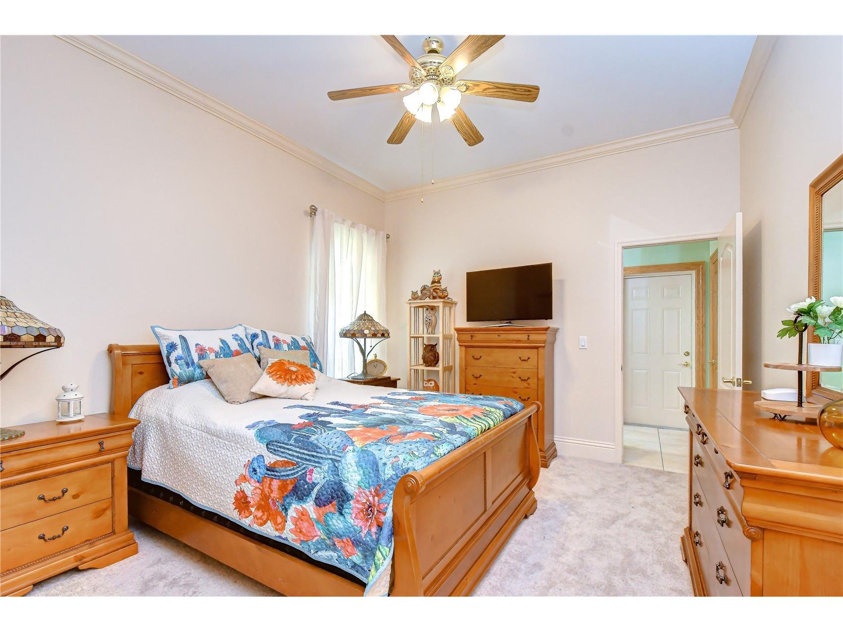 1009 Emerald Creek Drive Valrico FL 33596 TB8521781 image26