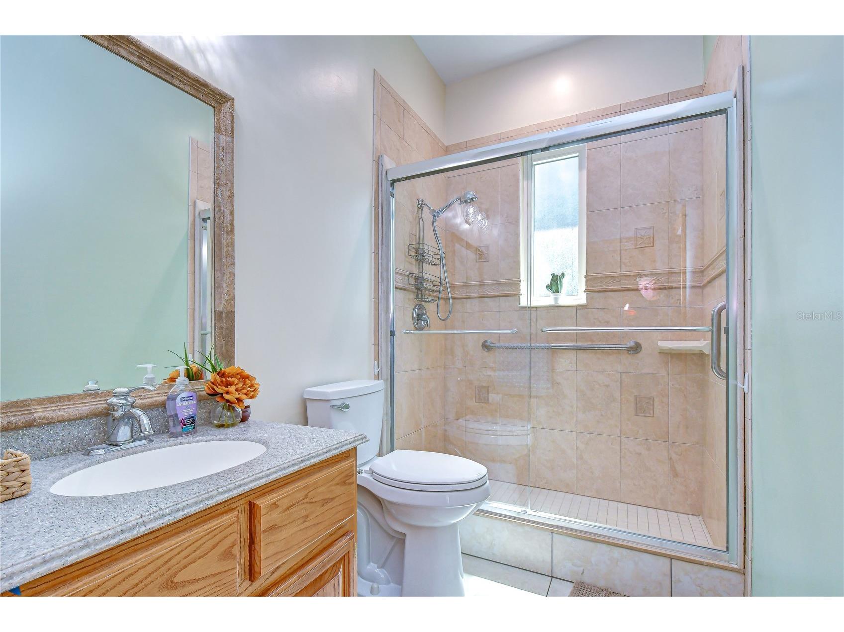1009 Emerald Creek Drive Valrico FL 33596 TB8521781 image27
