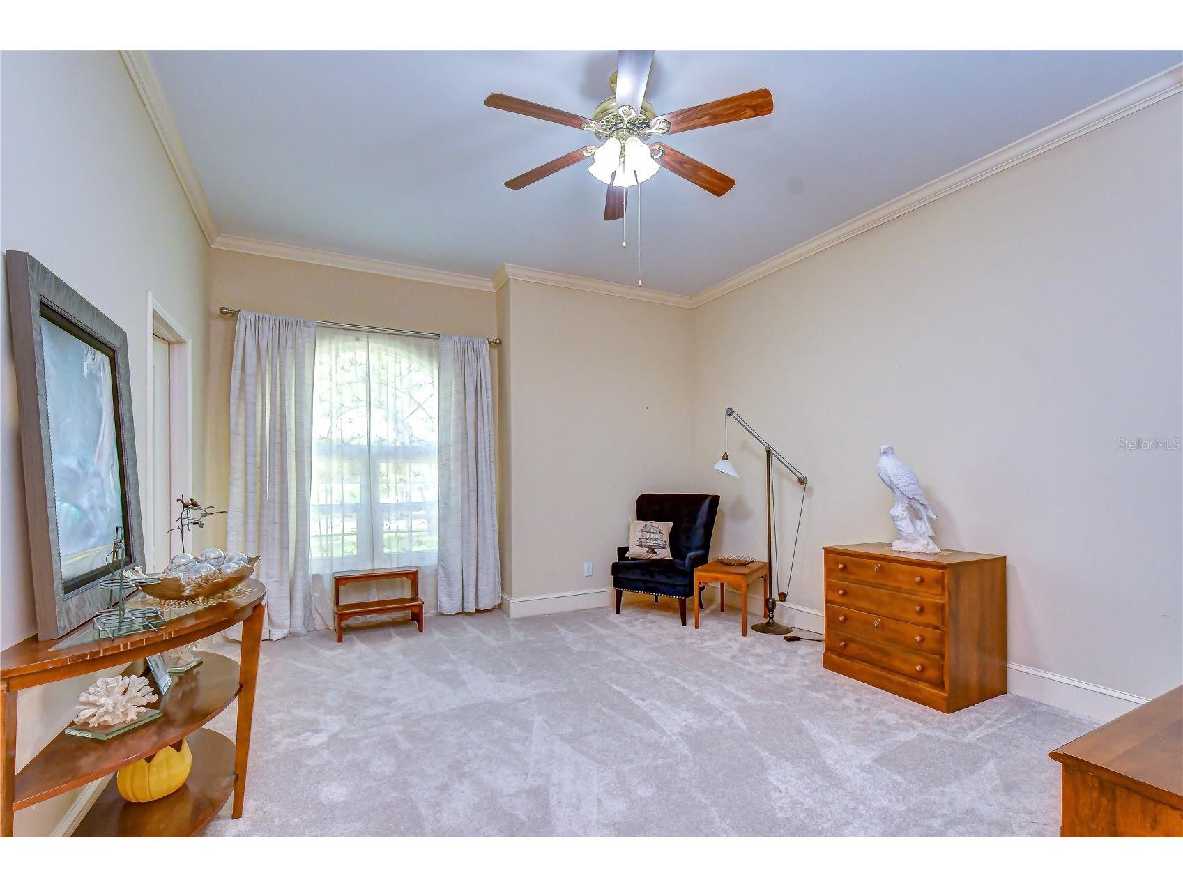 1009 Emerald Creek Drive Valrico FL 33596 TB8521781 image28