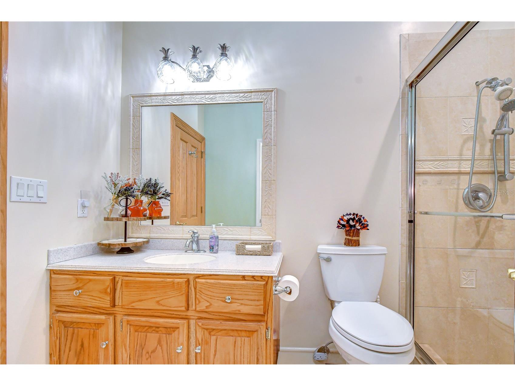 1009 Emerald Creek Drive Valrico FL 33596 TB8521781 image29