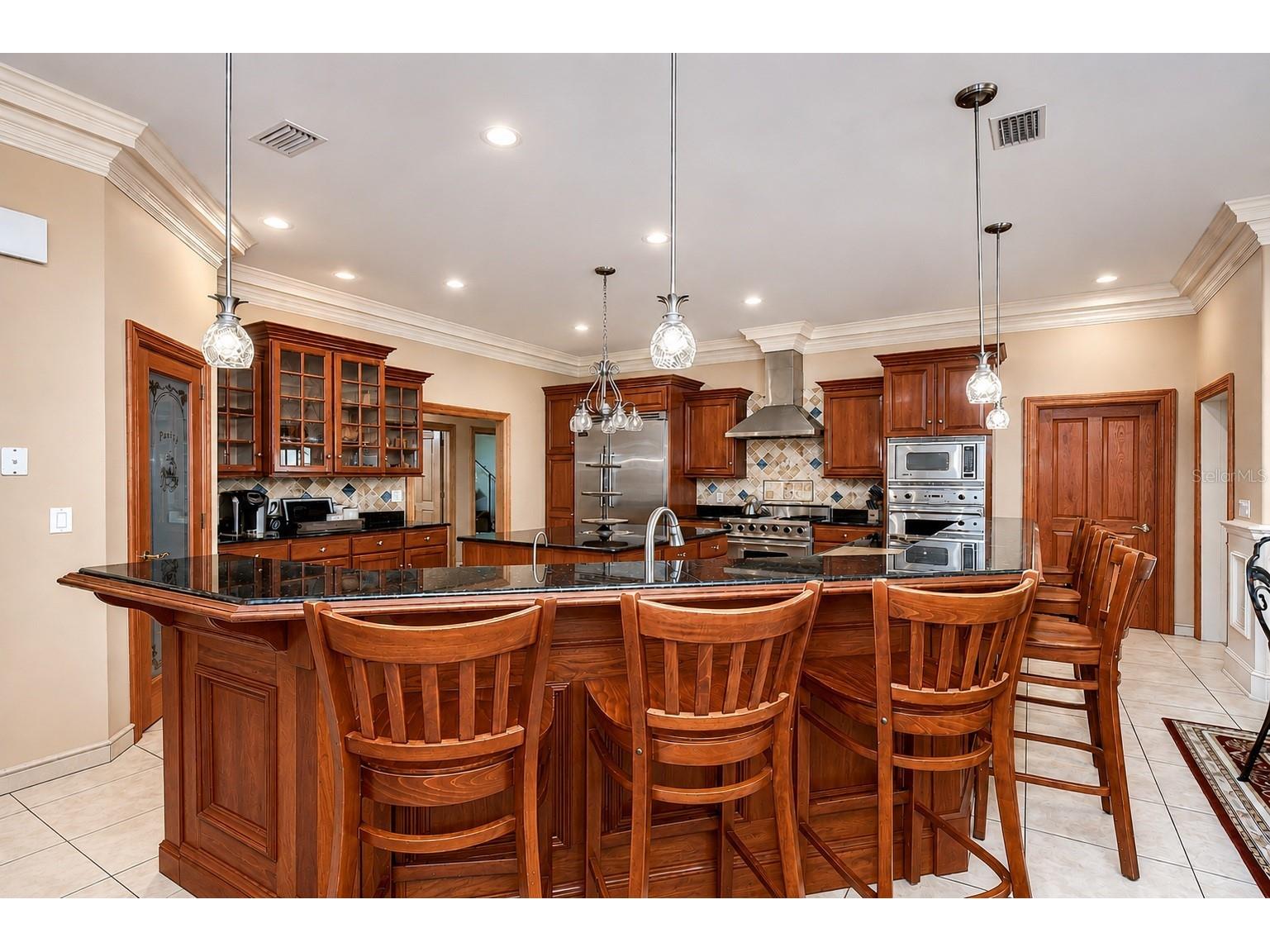 1009 Emerald Creek Drive Valrico FL 33596 TB8521781 image9
